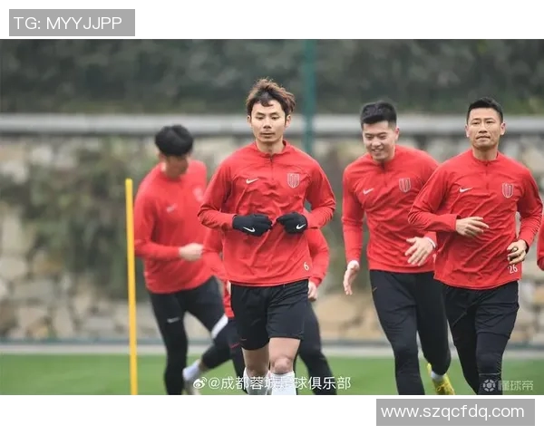 成都网球队灵活性分析与提升策略探讨 成都网球队灵活性分析与提升策略探讨