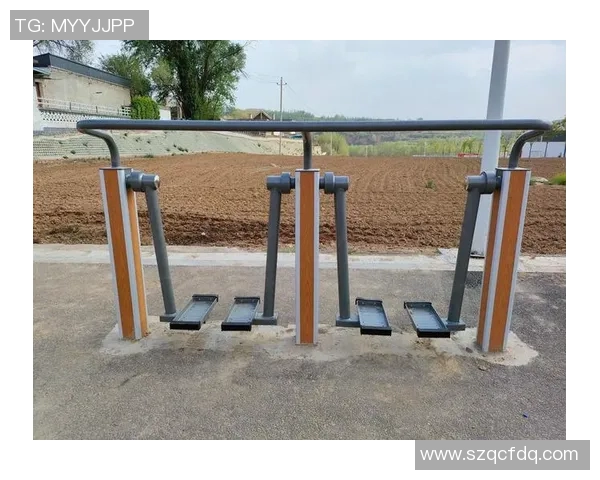 自制健身器材图鉴:经济实用又具创意的训练方式 自制健身器材图鉴:经济实用又具创意的训练方式