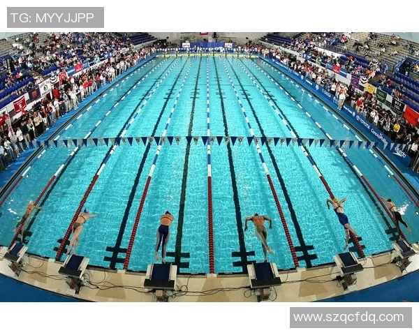 蝶泳赛场风云再起 技术与速度的完美较量